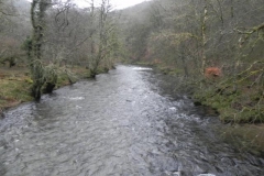 7. Looking downstream from Thorner's Bridge