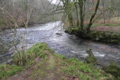 8. Danes Brook confluence with River Barle