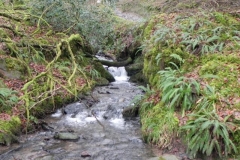 9. Tributary stream joins near Hinam Farm