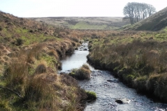 1. Looking upstream to Three Combes Foot