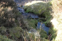 11. Flowing beneath Black Hill