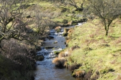 16. Flowing beneath Black Hill