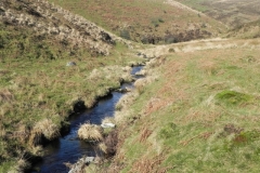 2. Downstream from Three Combes Foot