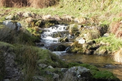 44. Upstream from Oareford