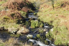6. Waters join from South Common