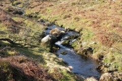 7. Waters join from South Common