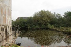4.-Tonedale-Mill-Pond