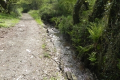6. Downstream from Chapman's Farm