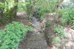 7. Downstream from Chapman's Farm