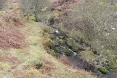 13. Flowing to join with Farley Water