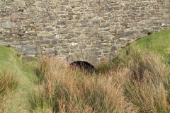 5. Dry Bridge downstream arch