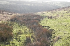 6. Valley between Middle Hill and Farley Hill