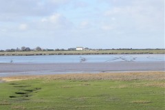 10.-Steart-across-Stockland-Reach