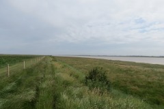 16.-Looking-across-Stockland-Reach-1
