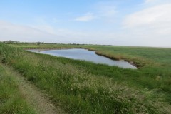 17.-Pond-close-to-Steart