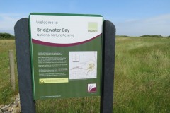 20.-Bridgwater-Bay-Nature-Reserve