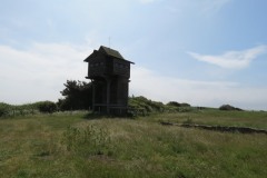 21.-Watch-tower-Bridgwater-Nature-Reserve-2