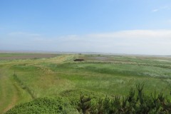 22.-View-from-watch-tower-Bridgwater-Nature-Reserve-2