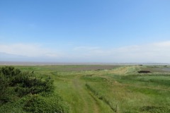 22.-View-from-watch-tower-Bridgwater-Nature-Reserve-3