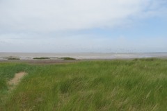 22.-View-from-watch-tower-Bridgwater-Nature-Reserve-5