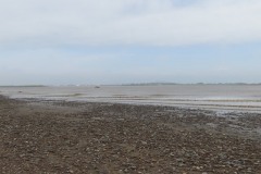 26.-River-Parrett-from-Fenning-Island-2