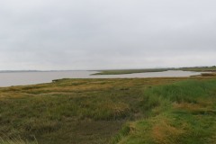 27.-River-Parrett-from-Fenning-Island-1