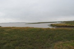 27.-River-Parrett-from-Fenning-Island-2
