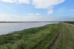4.-Downstream-from-Combwich-2
