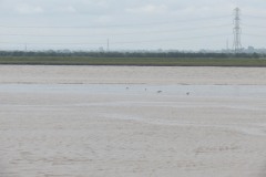 7.-Looking-towards-Pawlett-Hams-3