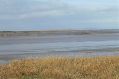 8.-Looking-across-Stockland-Reach-upstream-of-Huntspill-River-1