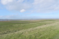 8.-Looking-across-Stockland-Reach-upstream-of-Huntspill-River-3