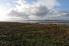 9.-Looking-across-Stockland-Reach-with-Quantocks-in-the-distance.