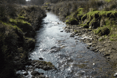 10. Downstream from  Upper Willingford Bridge