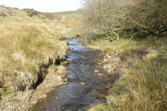 11. Downstream from  Upper Willingford Bridge
