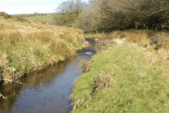 12. Downstream from  Upper Willingford Bridge