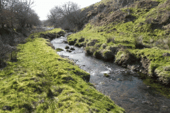 13. Downstream from  Upper Willingford Bridge