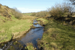 14. Downstream from  Upper Willingford Bridge