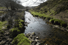 16. Downstream from  Upper Willingford Bridge