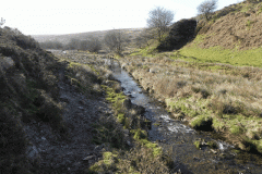 19. Upstream from  Lower Willingford Bridge