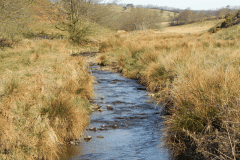 23. Upstream from  Lower Willingford Bridge