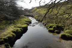 8. Looking downstream from  Upper Willingford Bridge