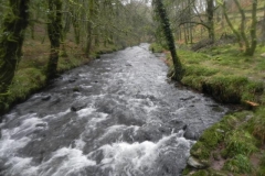 13. Looking upstream from Castle bridge