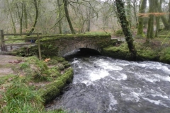 14. Castle Bridge upstream arch