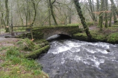 15. Castle Bridge upstream arch