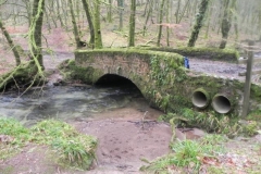 19. Castle Bridge downstream arch
