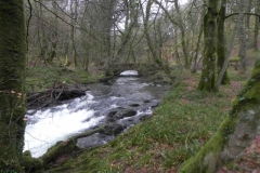 20. Looking upstream to Castle Bridge