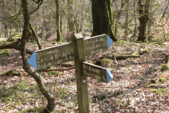 5. Hawkridge Finger Post