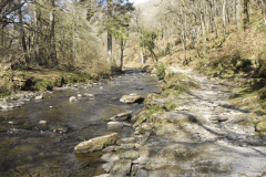 Flowing through Hawkridge Ridge Woods (10)