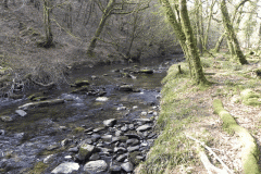 Flowing through Hawkridge Ridge Woods (2)
