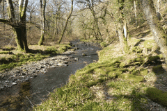 Flowing through Hawkridge Ridge Woods (5)